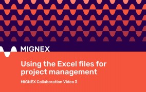 Slide reading 'Using the Excel files for project management'